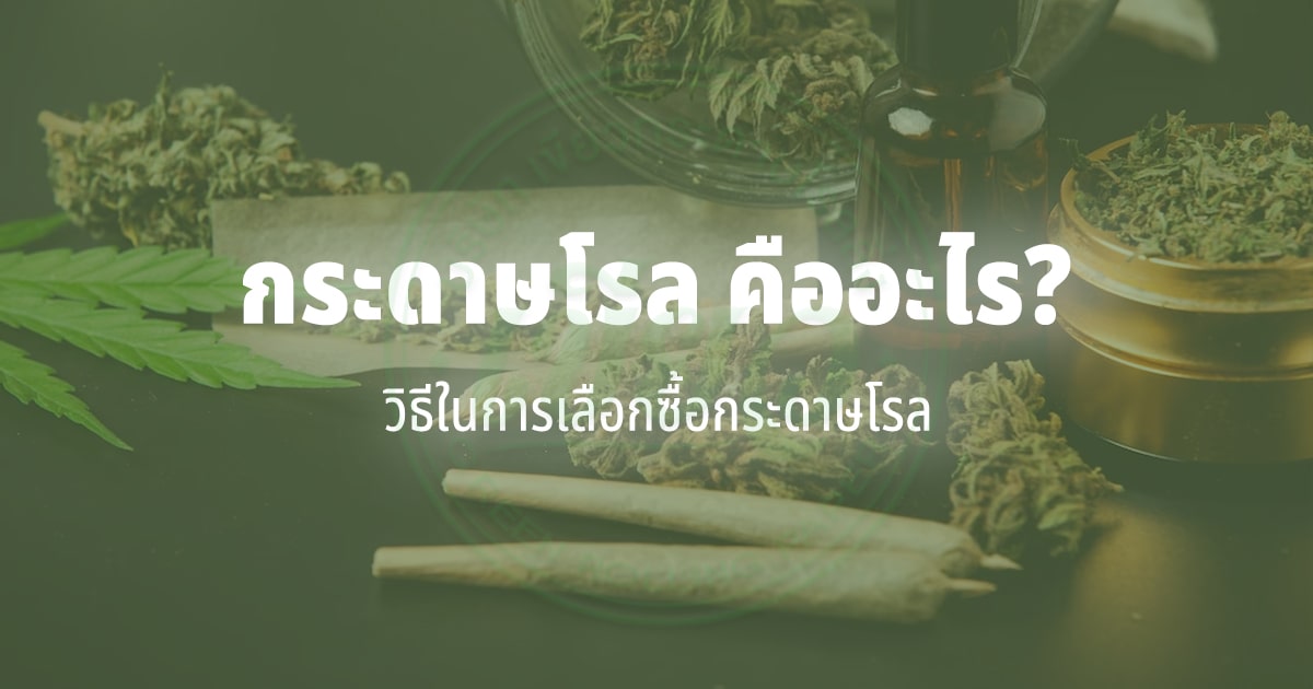กระดาษโรล คืออะไร? และวิธีในการเลือกซื้อกระดาษโรล
